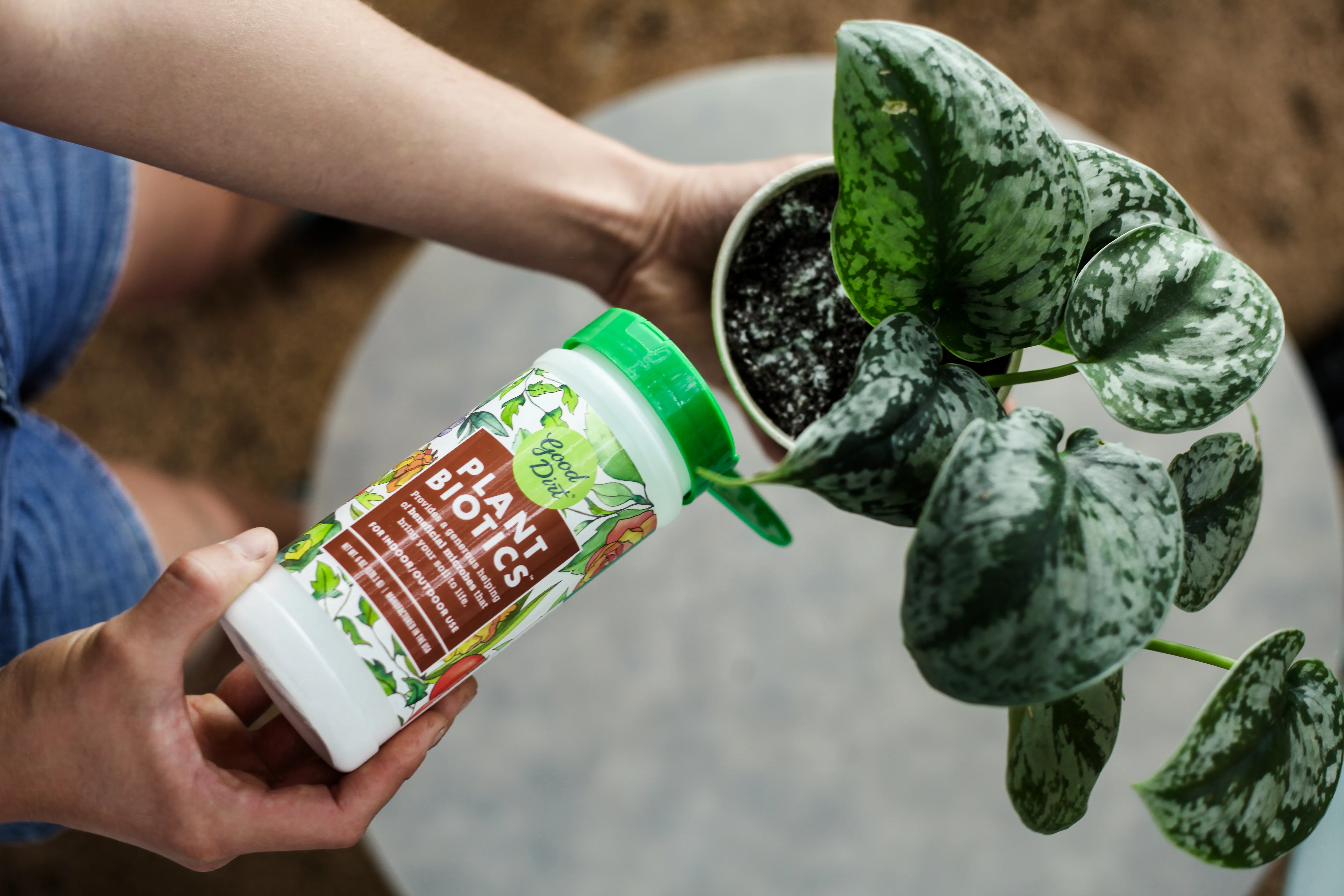 Thumbnail 6